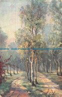 R088686 Landscape. Painting. Bill Hopkins Collection. London Postcard Centre. Po - Sonstige & Ohne Zuordnung