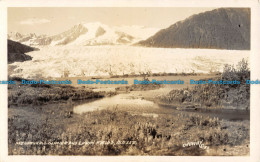 R087057 Mendenhrll Glacier And Lupin Fields. Alaska. Ordway Ozo - World