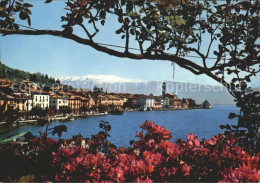 72923151 Salo Lago Di Garda Panorama Gardasee Blumen Salo Lago Di Garda - Andere & Zonder Classificatie