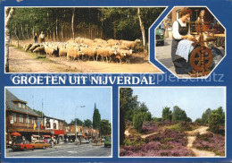 72922792 Nijverdal Schafe Strassenpartie Spinnerin  - Other & Unclassified