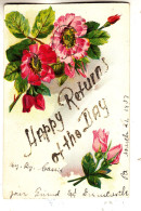 G33. Vintage Greetings Postcard. Wild Roses.  Flowers - Flowers