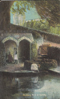 G69.  Collectible Postcard. Upwey Wishing Well.  Devon - Otros & Sin Clasificación