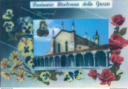 P34 Cartolina Mantova Citta'  Mantova Santuario Madonna Delle Grazie - Mantova