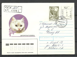 UKRAINE UKRAINA 1993 Registered Cover O Kiev Mixed Franking With Soviet Stamp - Ucrania