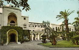 ALGER - Le Palais Du Gouverneur - Algerien