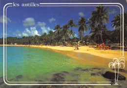 971-ANTILLES-N°3823-C/0019 - Other & Unclassified