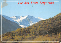 09-PIC DES TROIS SEIGNEURS L ARIEGE-N°3823-A/0199 - Sonstige & Ohne Zuordnung