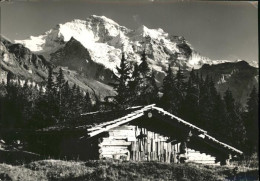 11337338 Wengen BE Fluehlenboden Mit Jungfrau Wengen - Andere & Zonder Classificatie