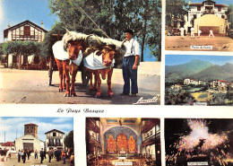 64-PAYS BASQUE-N°3823-D/0253 - Autres & Non Classés