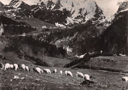 64-COL D AUBISQUE-N°3823-D/0111 - Autres & Non Classés