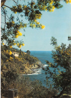 83-COTE D AZUR-N°3823-C/0319 - Andere & Zonder Classificatie