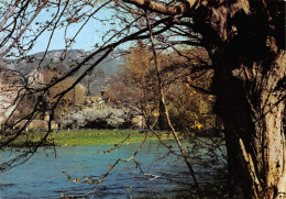 84-FONTAINE DE VAUCLUSE-N°3824-C/0161 - Autres & Non Classés