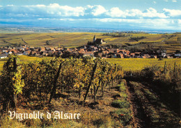 68-VIGNOBLE D ALSACE-N°3824-B/0359 - Other & Unclassified