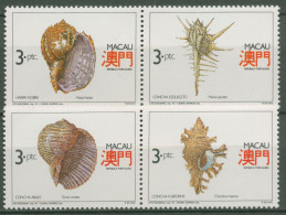 Macau 1991 Tiere Schnecken Schneckenhäuser 672/75 Postfrisch - Neufs