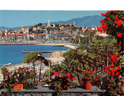 06-CANNES-N°3824-A/0105 - Cannes