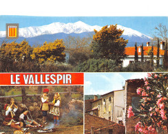 66-LE VALLESPIR-N°3824-A/0101 - Autres & Non Classés