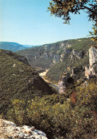 07-LES GORGES DE L ARDECHE L AIGUILLE DE MORSANNE-N°3824-C/0379 - Other & Unclassified