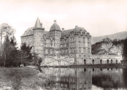 38-VIZILLE LE CHATEAU-N°3825-C/0345 - Vizille