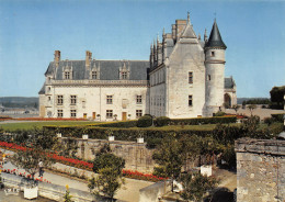 37-AMBOISE-N°3825-B/0359 - Amboise