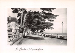 44-LA BAULE -N°3825-B/0325 - La Baule-Escoublac