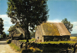 15-LE CANTAL PAYSAGE-N°3826-A/0163 - Sonstige & Ohne Zuordnung