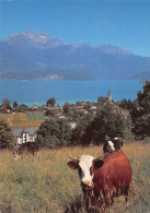 74-ANNECY-N°3826-A/0011 - Annecy