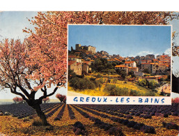 04-GREOUX LES BAINS-N°3826-C/0113 - Gréoux-les-Bains