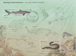 Belgien MiNr. (noch Nicht Im Michel) Europa 2024 Unterwasserfauna/-flora (Block) - Altri & Non Classificati