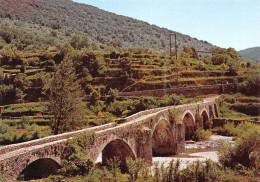 30-LE PONT DES CAMISARDS SUR LE GARDON-N°3826-B/0129 - Autres & Non Classés