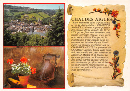 15-CHAUDES AIGUES-N°3827-A/0195 - Other & Unclassified