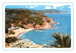 13-LA COTE MEDITERRANEENNE-N°3827-A/0073 - Andere & Zonder Classificatie