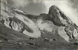 11337181 Pilatus Kulm Hotel Pilatus Kulm Mit Pilatusbahn Und Eseln Pilatus  - Altri & Non Classificati