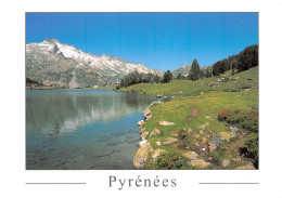 66-LES PYRENEES PAYSAGE-N°3826-D/0349 - Other & Unclassified