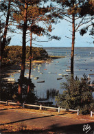 33-ARCACHON-N°3826-D/0053 - Arcachon