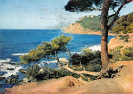 83-LA COTE D AZUR PAYSAGE-N°3826-D/0033 - Other & Unclassified