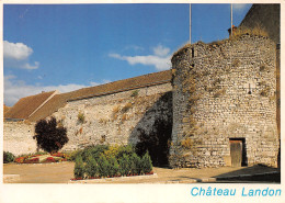 77-CHÂTEAU LANDON-N°3827-C/0029 - Chateau Landon