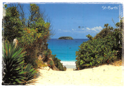 977-LES ANTILLES SAINT BARTHELEMY-N°3827-B/0233 - Andere & Zonder Classificatie