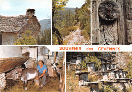 48-MASSIF DES CEVENNES-N°3827-B/0047 - Sonstige & Ohne Zuordnung