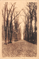 77-GRANDE ALLEE DU DOLIUM-N°3827-E/0069 - Sonstige & Ohne Zuordnung