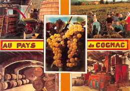 16-PAYS DU COGNAC-N°3828-C/0307 - Autres & Non Classés