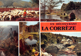 19-CORREZE MULTI VUES-N°3829-A/0167 - Other & Unclassified