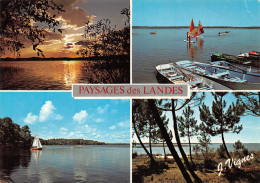 40-LES LANDES PAYSAGES-N°3828-D/0209 - Other & Unclassified