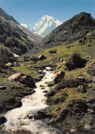 65-PIC DU MIDI DE BIGORRE-N°3829-C/0389 - Sonstige & Ohne Zuordnung