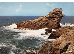 56-BELLE ILE EN MER-N°3829-C/0119 - Belle Ile En Mer