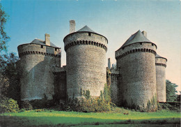 53-LASSAY-N°3830-A/0249 - Lassay Les Chateaux