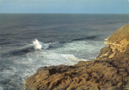 64-LA COTE BASQUE FALAISES ESCARPEES-N°3830-A/0029 - Autres & Non Classés