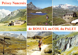 73-PEISEY NANCROIX-N°3830-D/0095 - Other & Unclassified