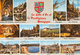 21-BOURGOGNE LA COTE D OR -N°3830-C/0173 - Other & Unclassified