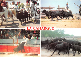 13-CAMARGUE-N°3830-C/0127 - Andere & Zonder Classificatie