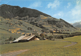 74-PRAZ SUR ARLY-N°3830-B/0153 - Other & Unclassified